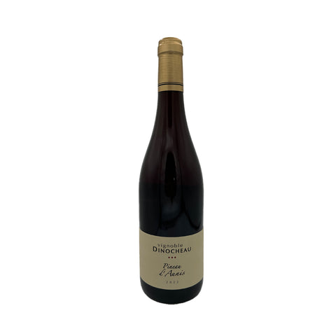 2023 Vignoble Dinocheau Pineau D'Aunis VDF, 750ml